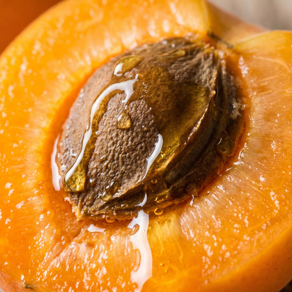 Apricot Kernel